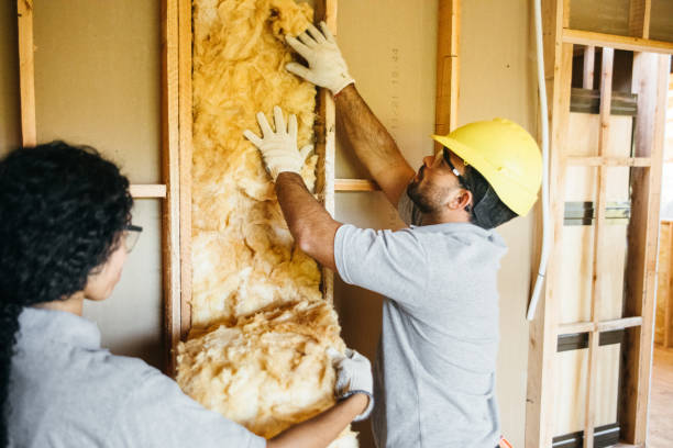 Best Blown-In Insulation  in George, IA